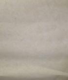 PP15096 SÁRGA TAPÉTA