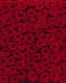 Flowers and Textures (Imagine 2) poszter - Roses