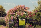 Flowers and Textures (Imagine 2) poszter - Rose Garden
