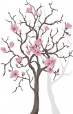 Plating a magnolia tree